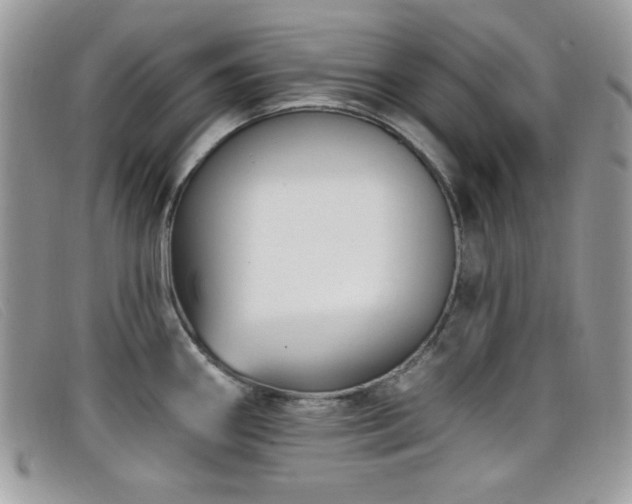 X0000099301290200805021223