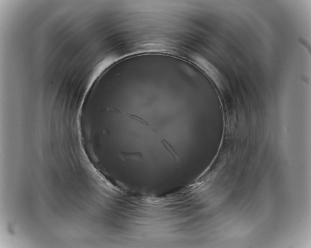 X0000099301291200805021223