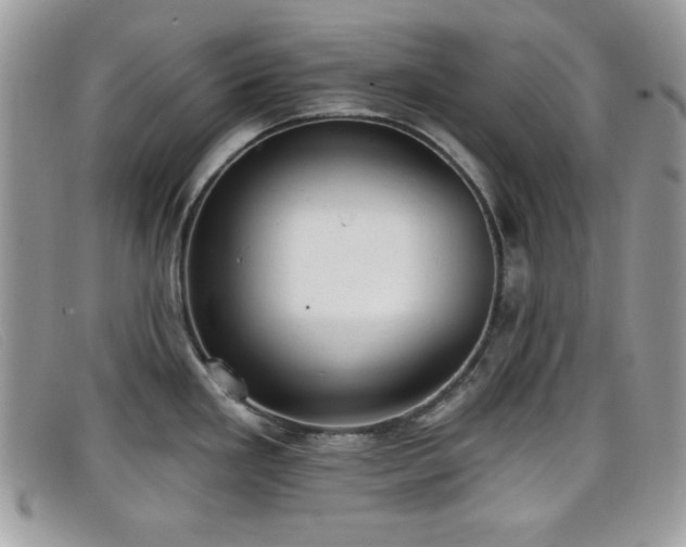 X0000099301293200805021223