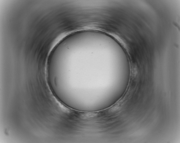 X0000099301294200805021223