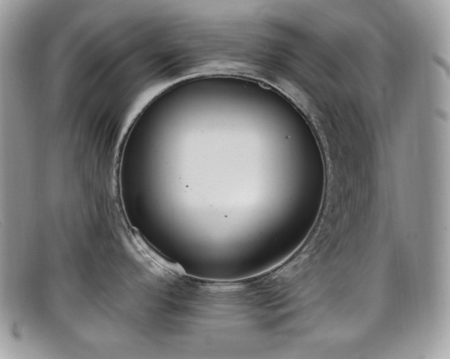 X0000099301296200805021223