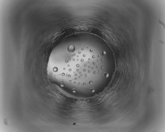 X0000099301297200805021222