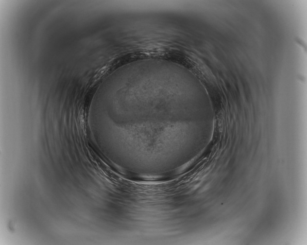 X0000099301298200805021222