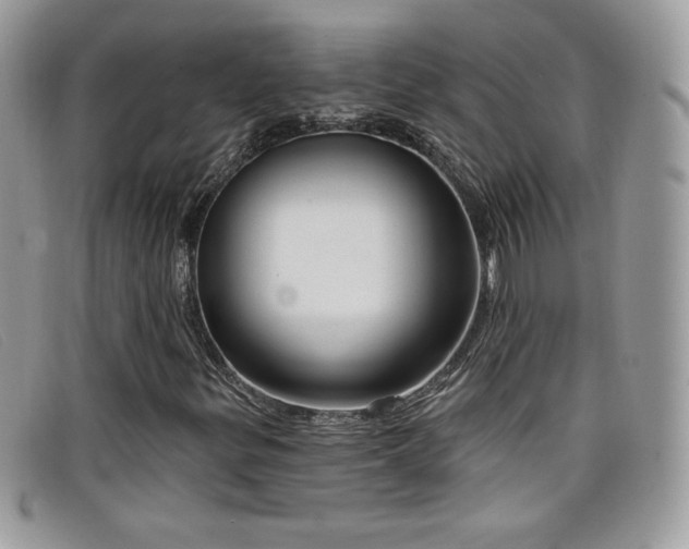 X0000099301299200805021222