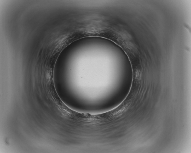 X0000099301300200805021222