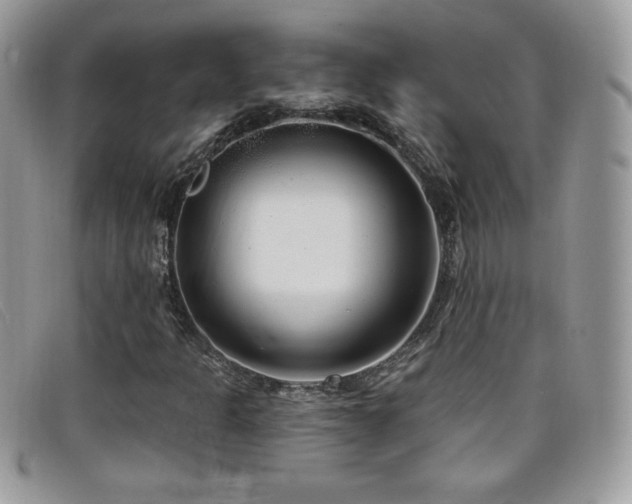 X0000099301301200805021222