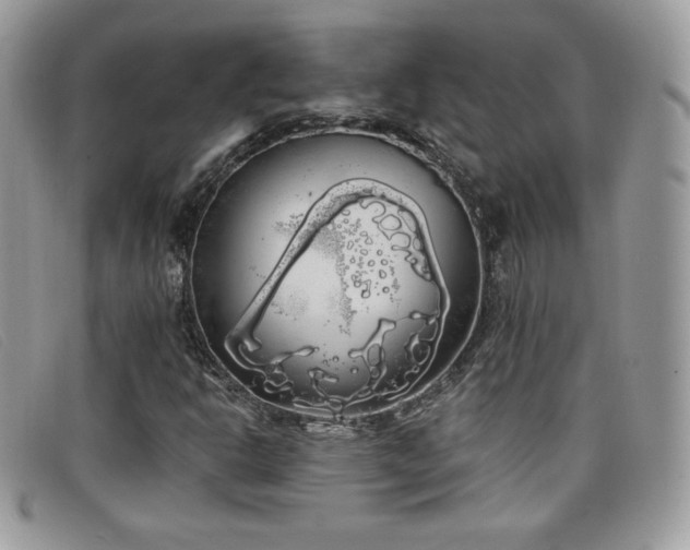 X0000099301302200805021222