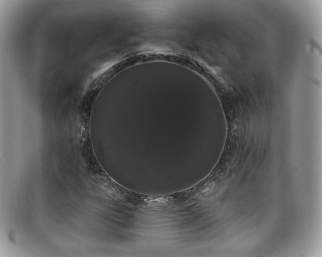 X0000099301303200805021222