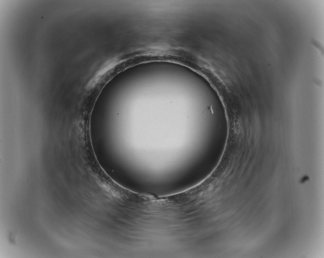 X0000099301304200805021222