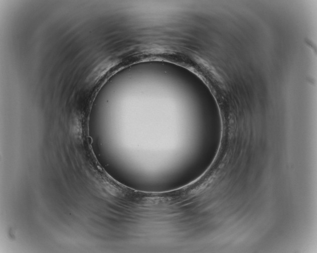 X0000099301305200805021222