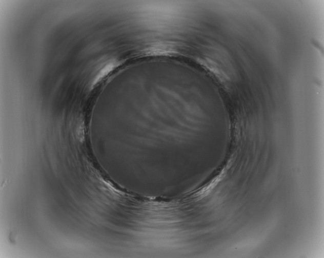 X0000099301306200805021222