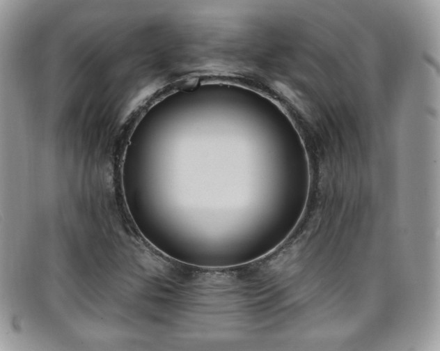 X0000099301307200805021222