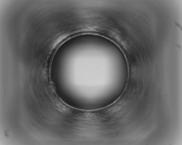 X0000099301308200805021223