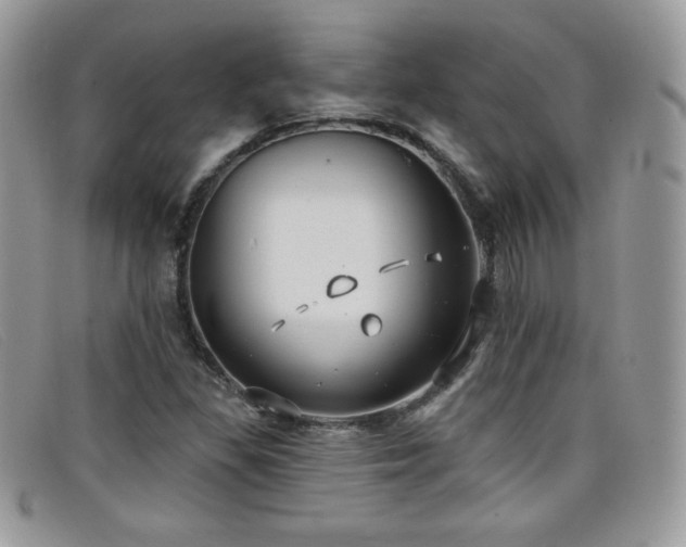 X0000099301309200805021223