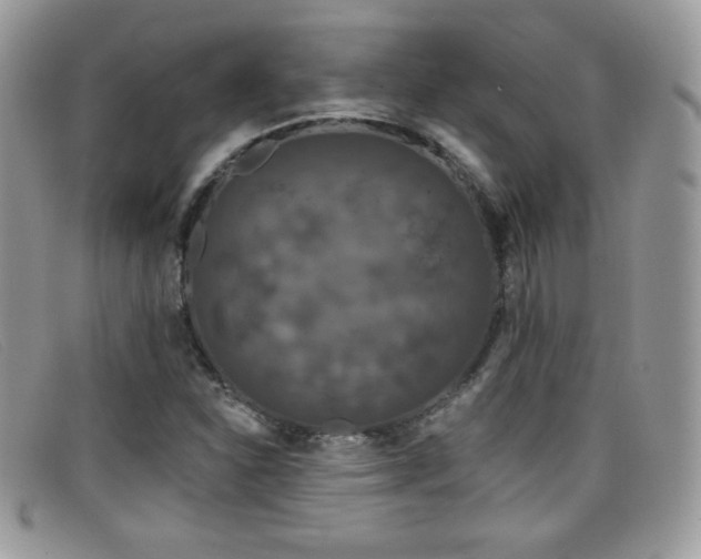 X0000099301310200805021223