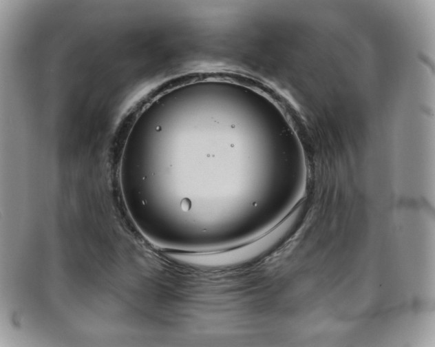 X0000099301311200805021223