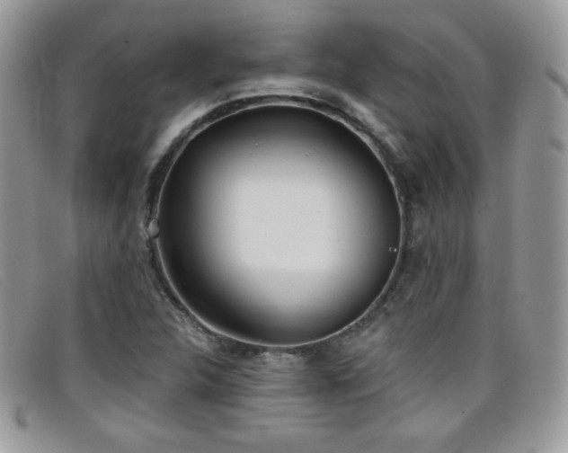 X0000099301312200805021223