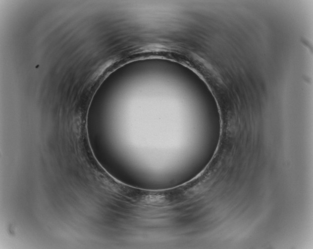 X0000099301313200805021223