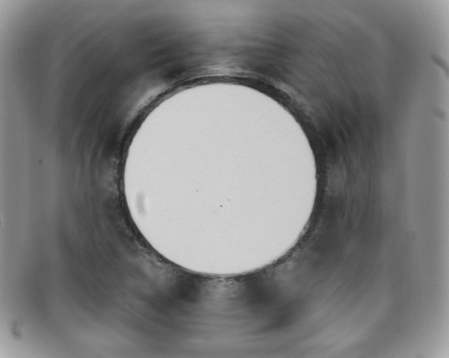 X0000099301314200805021223