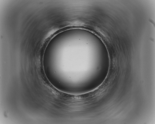 X0000099301315200805021223