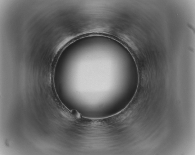 X0000099301316200805021223