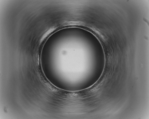 X0000099301317200805021223