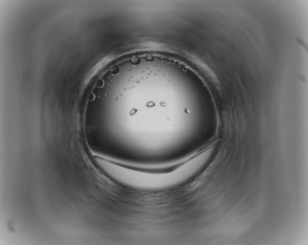 X0000099301318200805021223