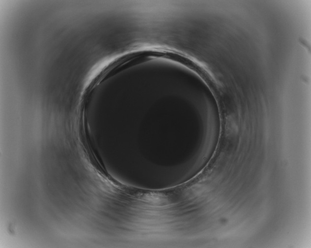 X0000099301319200805021223