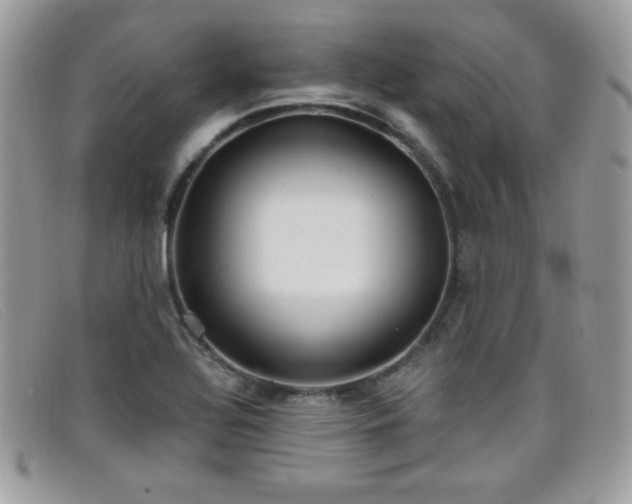 X0000099301320200805021223