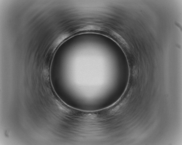 X0000099301321200805021223