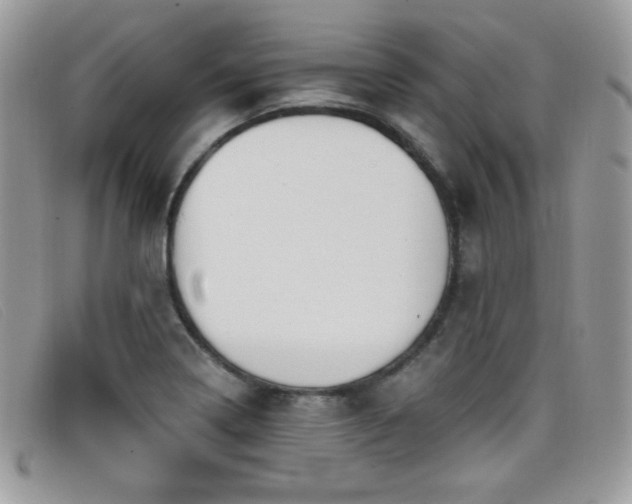 X0000099301322200805021223