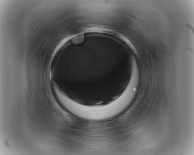 X0000099301323200805021223