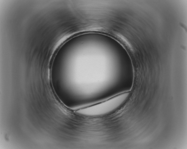 X0000099301324200805021223