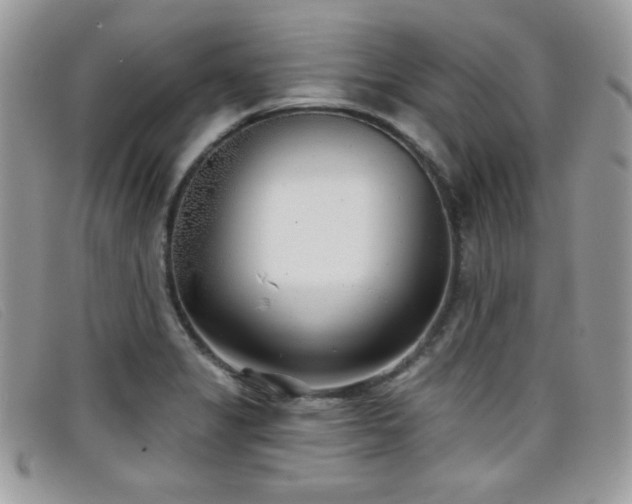 X0000099301325200805021223