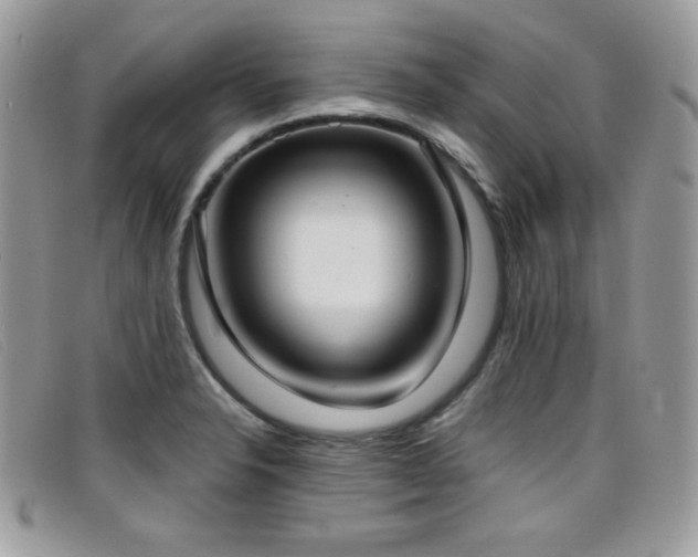 X0000099301326200805021223