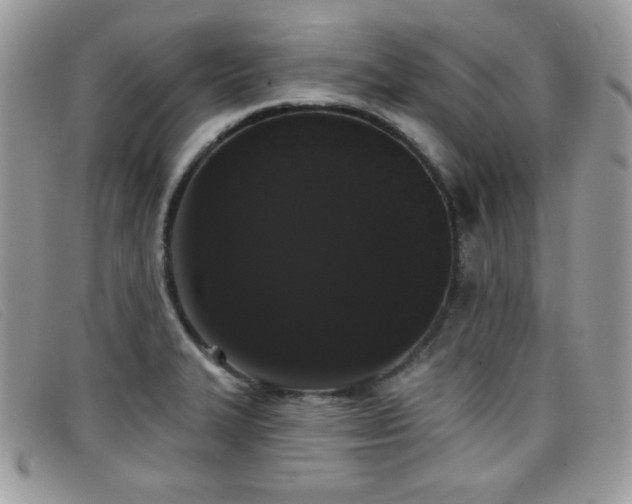 X0000099301327200805021223