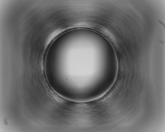 X0000099301328200805021223