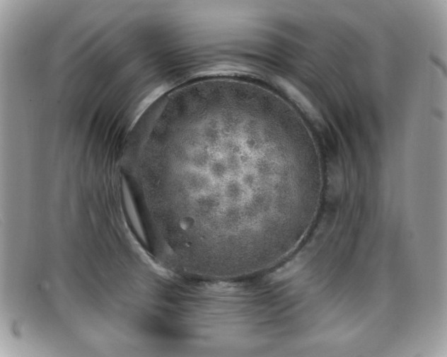 X0000099301329200805021223