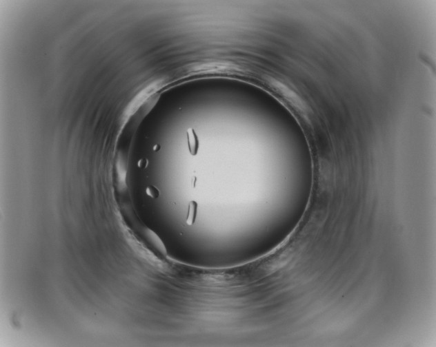 X0000099301330200805021223