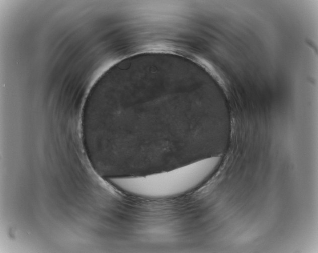 X0000099301331200805021223