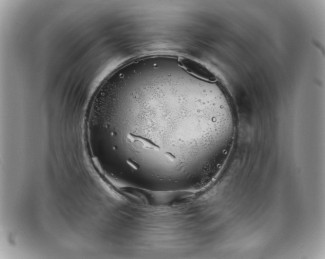 X0000099301333200805021223