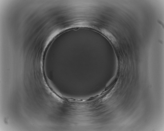 X0000099301334200805021223