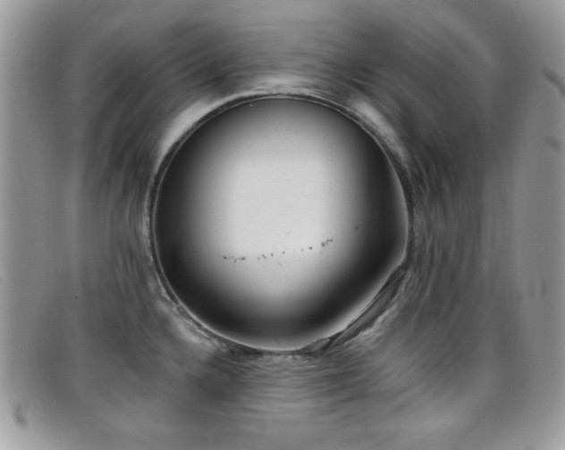 X0000099301336200805021223