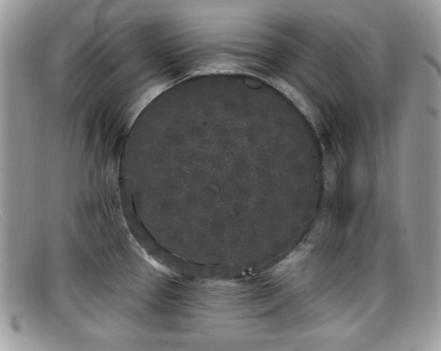 X0000099301337200805021223