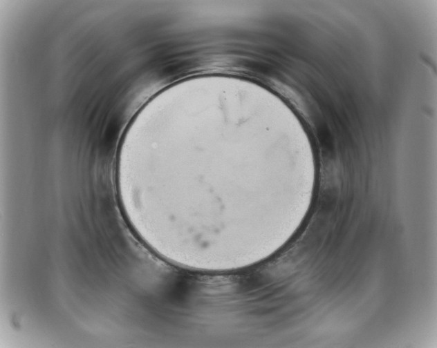 X0000099301338200805021223