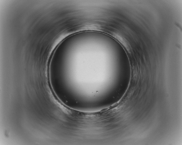 X0000099301339200805021223