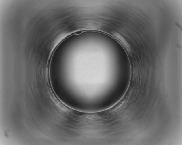 X0000099301340200805021223