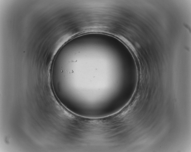 X0000099301341200805021223