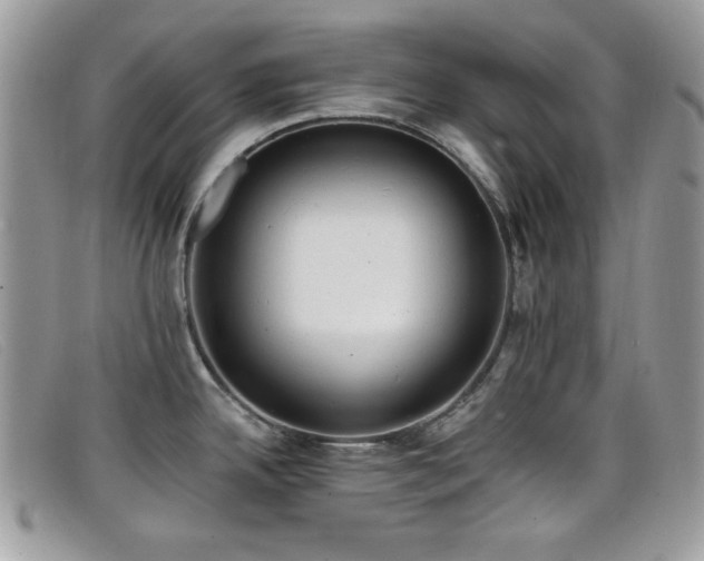 X0000099301342200805021223