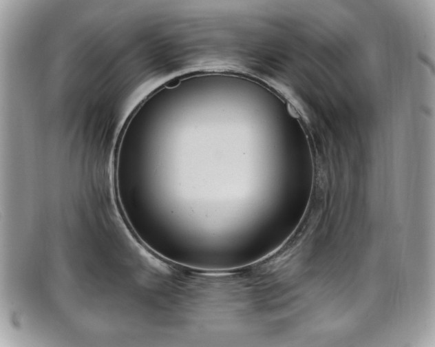 X0000099301343200805021223